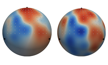 map simulations of earth's interior