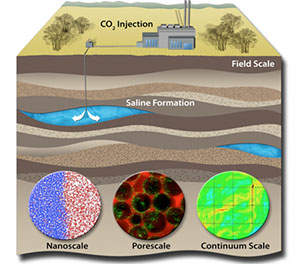 CO2 storage model