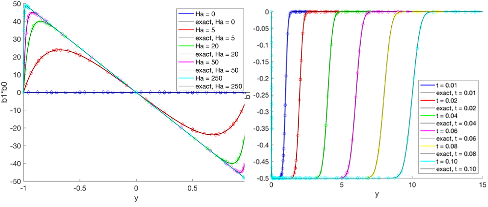 Tokamak simulations
