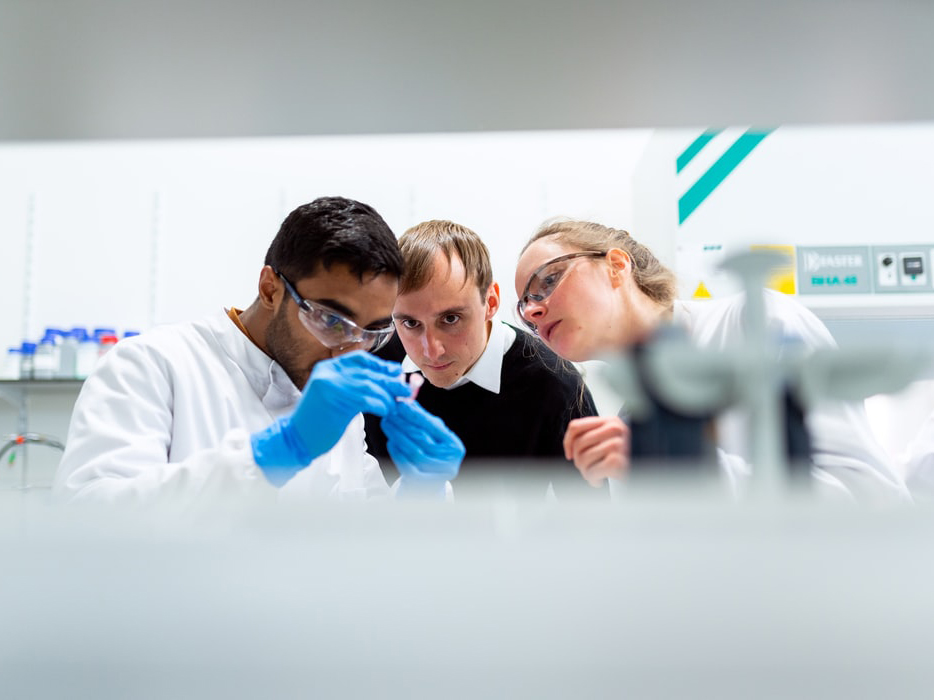 photo of students working in lab